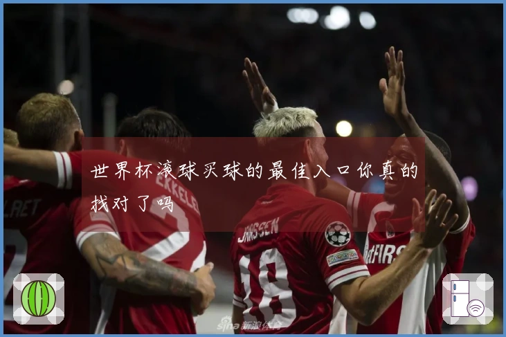 世界杯滚球买球的最佳入口你真的找对了吗