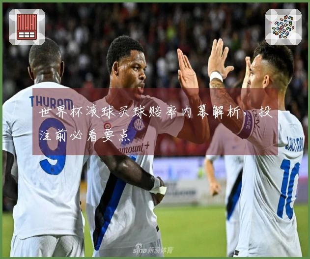 世界杯滚球买球赔率内幕解析，投注前必看要点