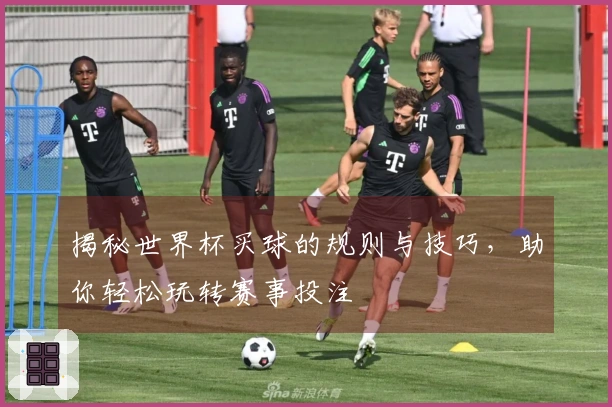 揭秘世界杯买球的规则与技巧，助你轻松玩转赛事投注