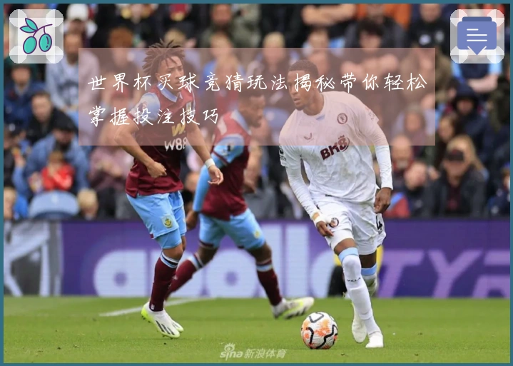 世界杯买球竞猜玩法揭秘带你轻松掌握投注技巧
