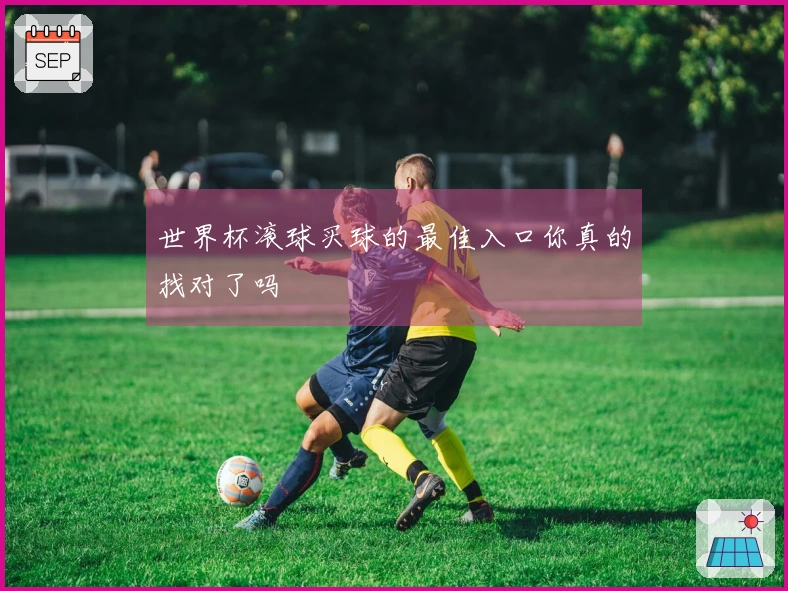 世界杯滚球买球的最佳入口你真的找对了吗