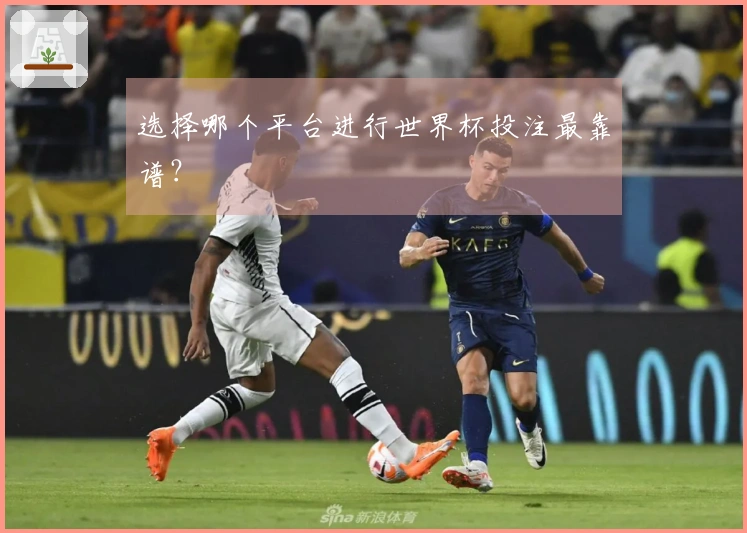 选择哪个平台进行世界杯投注最靠谱？